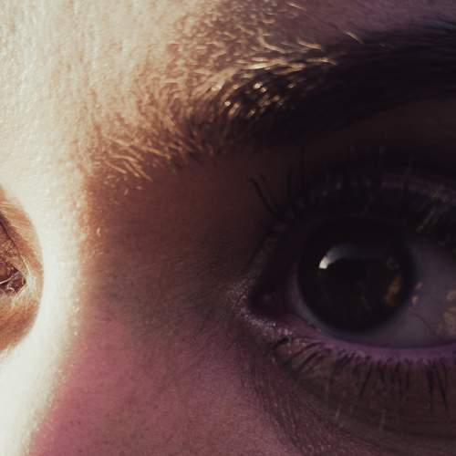 Photo #8439806