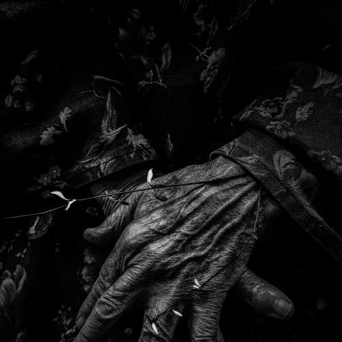 Photo #8440367