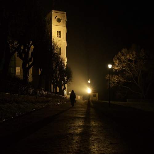 Photo #8440501