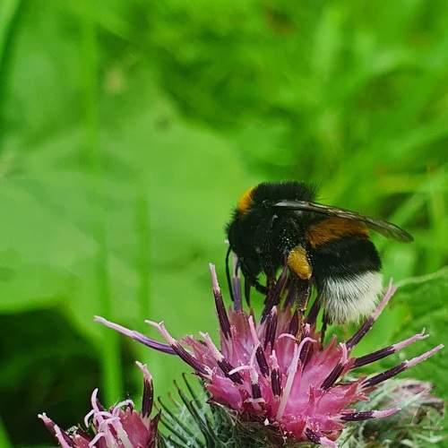 Photo #8440860
