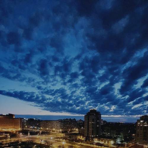 Photo #8441231