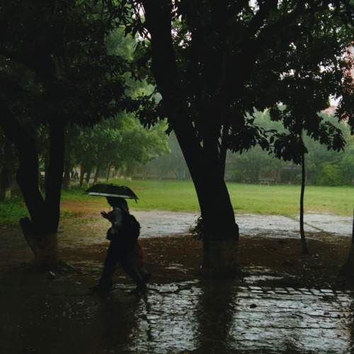 Rainy day