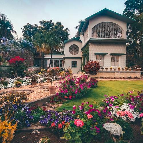 Photo #8441318