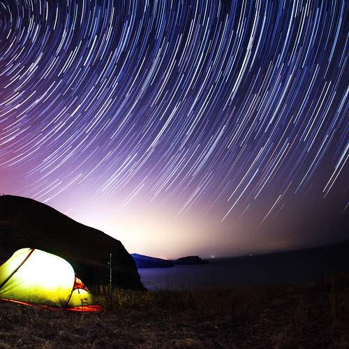 Photo #8441645