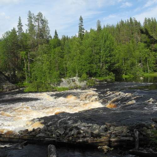 Photo #8441932