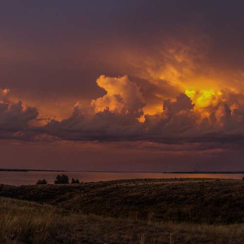 Photo #8442528