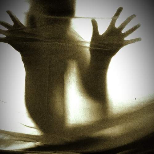 Photo #8442723