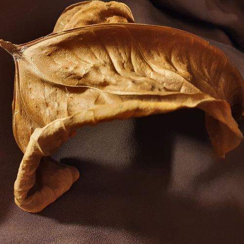 Photo #8443154