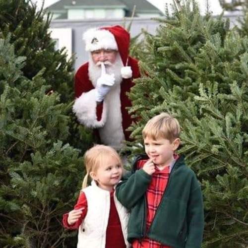 Photo #8443408