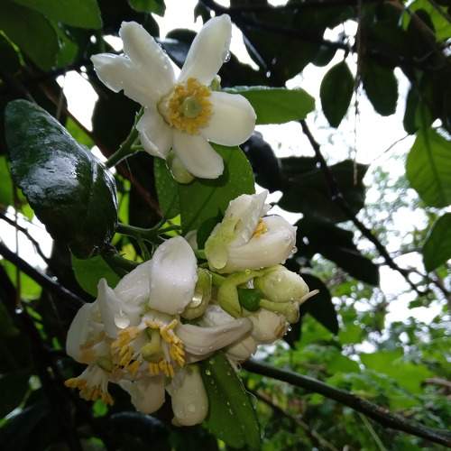 Photo #8443434