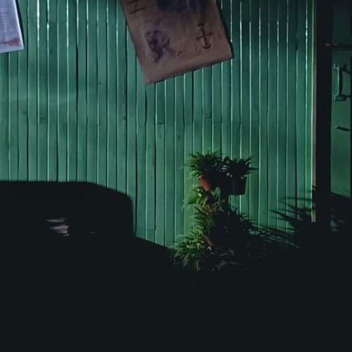 Photo #8443681