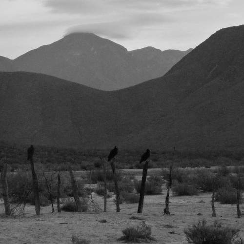 The desert of northwestern Mexico