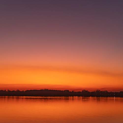 Photo #8444479