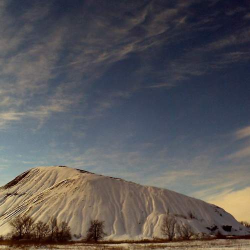 Photo #8444904
