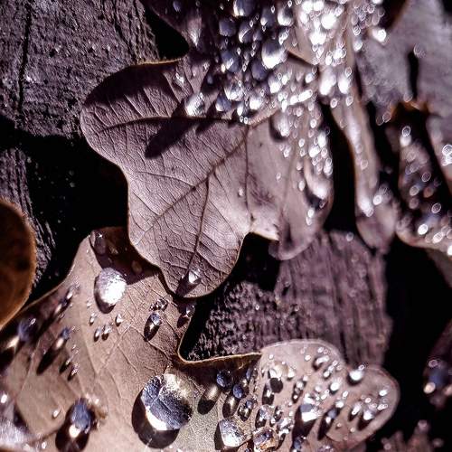 Photo #8445083