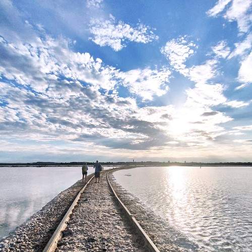 Photo #8445167
