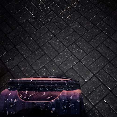 Photo #8445374