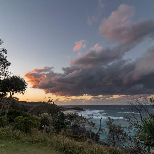 Photo #8445408
