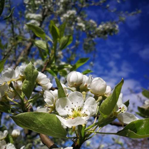 Photo #8445558