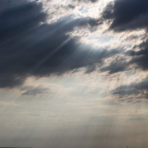 Photo #8445805
