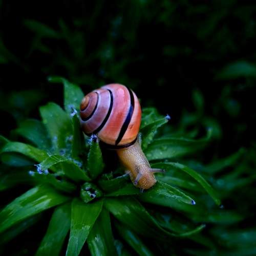 Photo #8445887