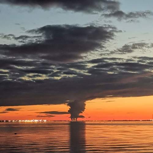 Photo #8445912