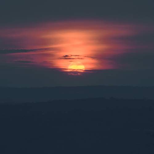Photo #8446394