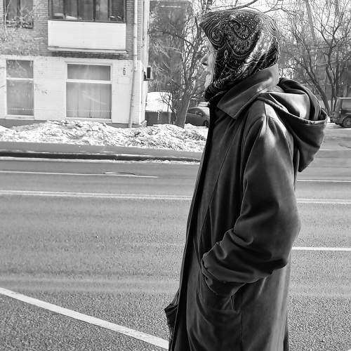 Photo #8446632