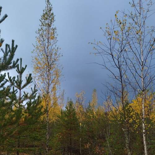 Photo #8446937