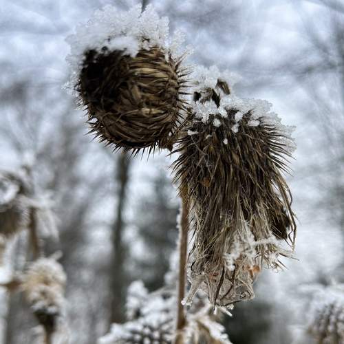 Photo #8446955