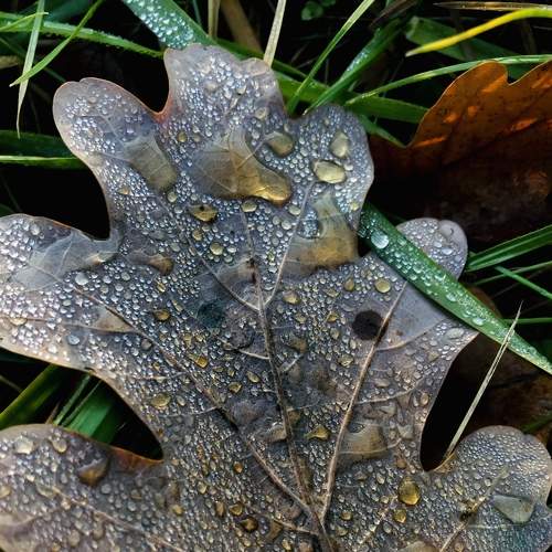 Photo #8446966