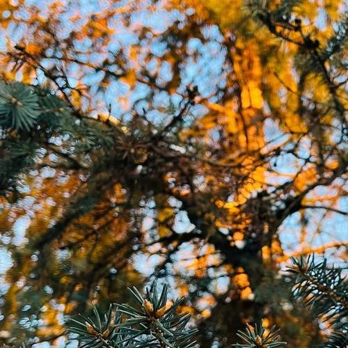 Photo #8447017