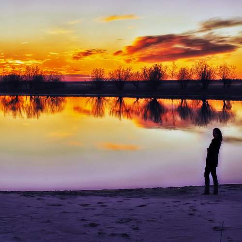 Photo #8447246