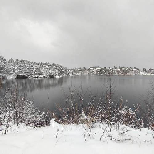 Photo #8447337