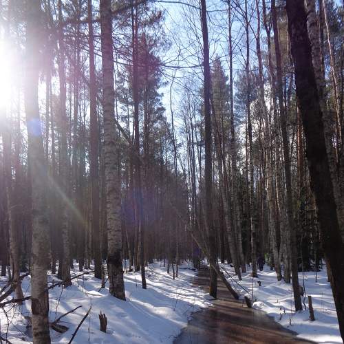 Photo #8447457
