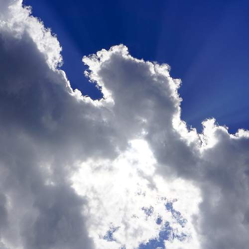 Photo #8447634