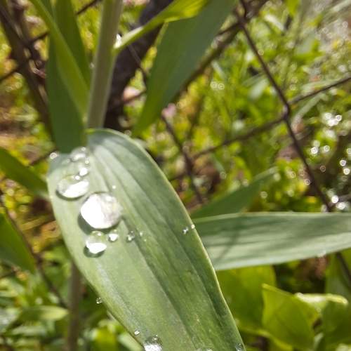 Photo #8448273