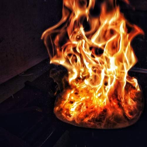 Photo #8448356