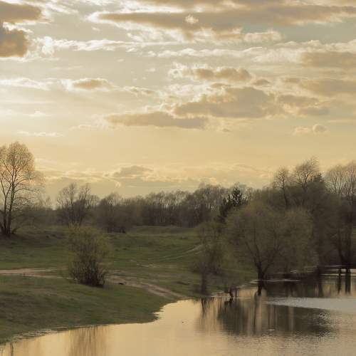Photo #8448428