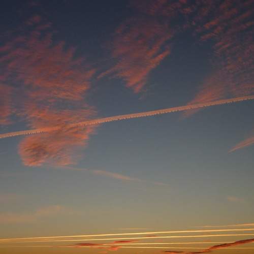 Photo #8449079