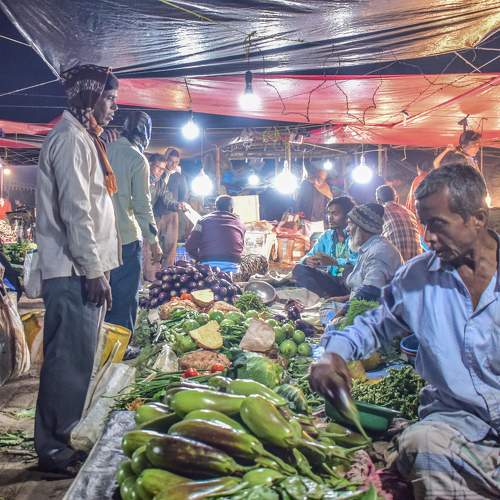 Photo #8449374
