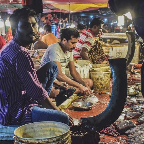 Photo #8449380