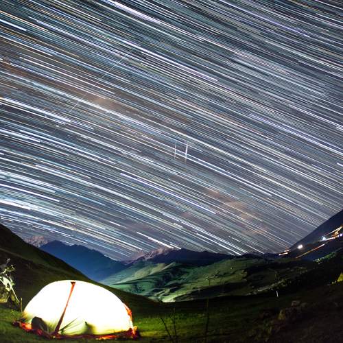 Photo #8449433