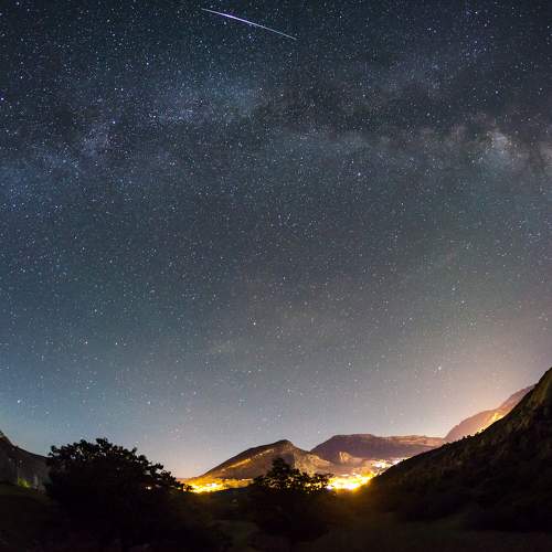 Photo #8449475