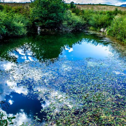 Photo #8450419