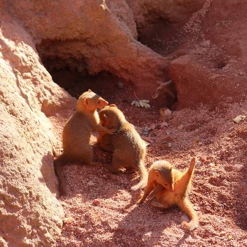 Photo #8450687