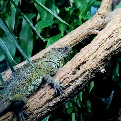 Photo #8450688