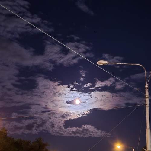 Photo #8450697