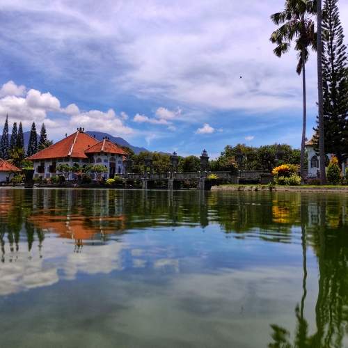 Photo #8450928