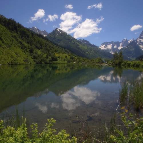 Photo #8450953
